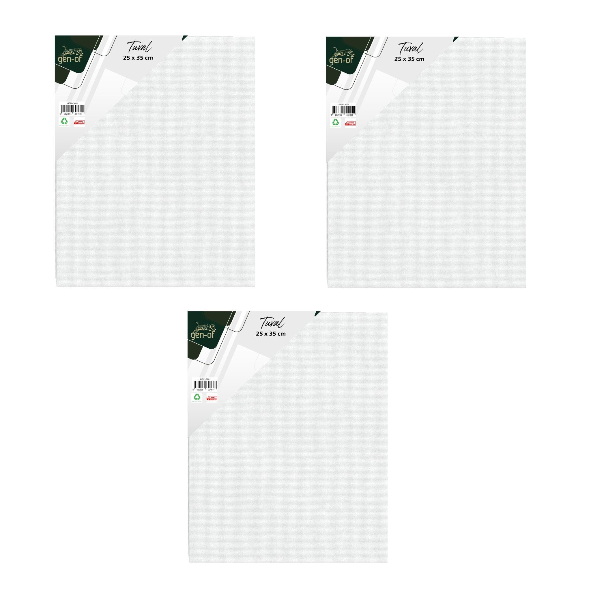Gen-OfGen-Of Tuval 25x35 cm 3 Adet