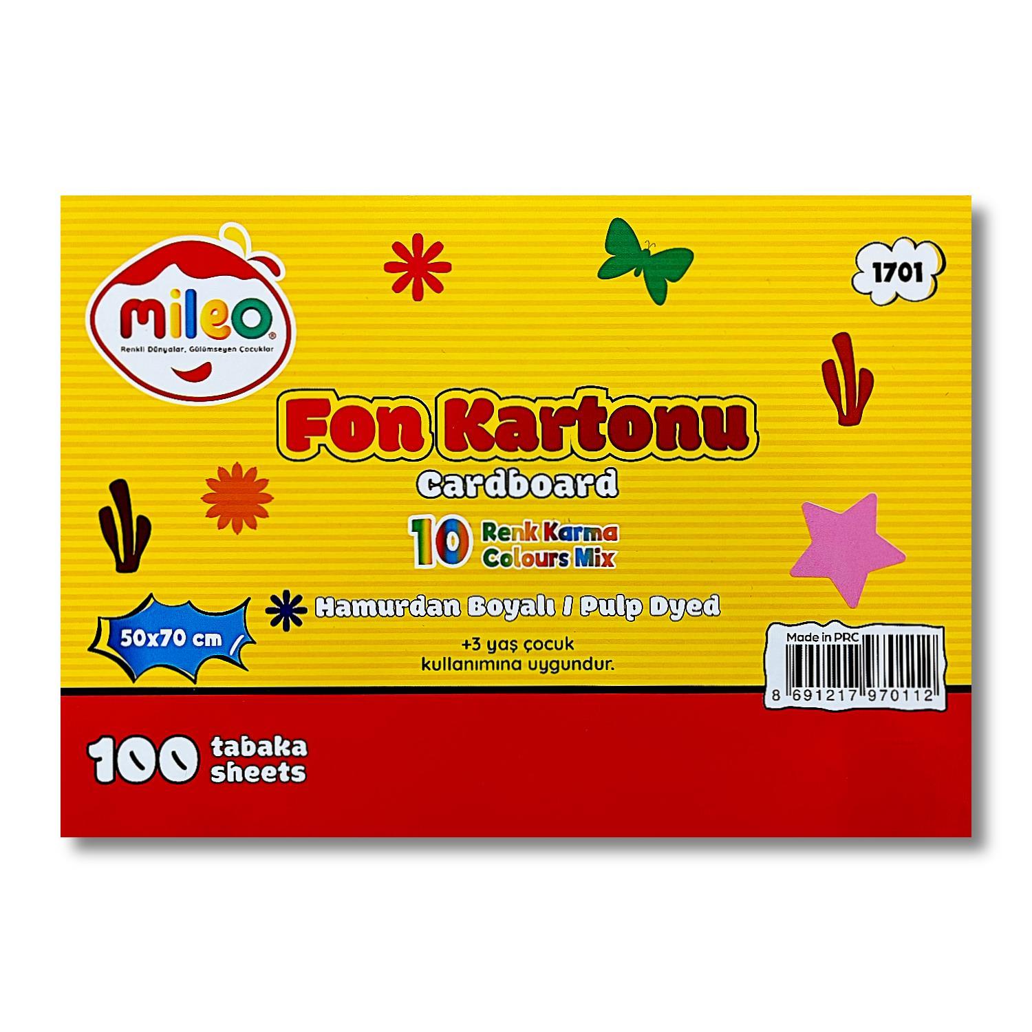 MileoMileo 50x70 160 gr Karışık Hamurdan Fon Kartonu 100 lü (1701)