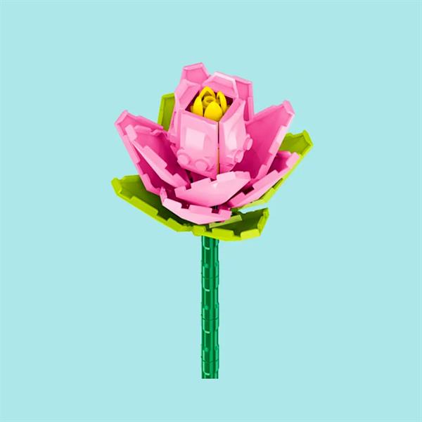 hanalei ミニトリオギフトセット ミニトリオギフトセット – Hanalei Company