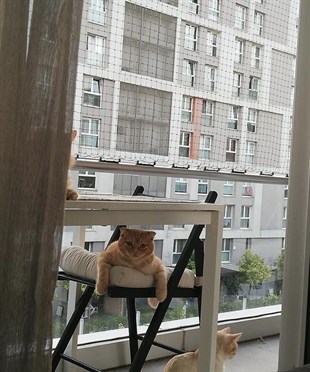 Winblock Pets Balkonlar için Kedi Güvenli Ağı 150cm x 200cm