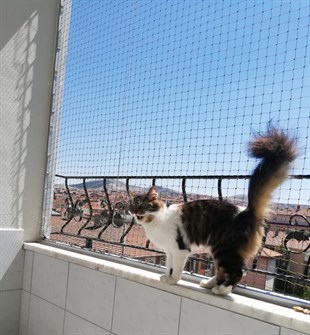 Winblock Pets Balkonlar için Kedi Güvenli Ağı 200cm x 300cm