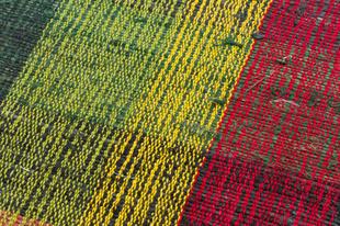 GERÇEK EL DOKUMA KIRMIZI RENGİ KEÇİ KILI KİLİM PASPAS