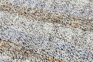 EŞSİZ EL YAPIMI GÜMÜŞ BEYAZ RENGİ KEÇİ KILI YÜNLÜ KİLİM PASPAS