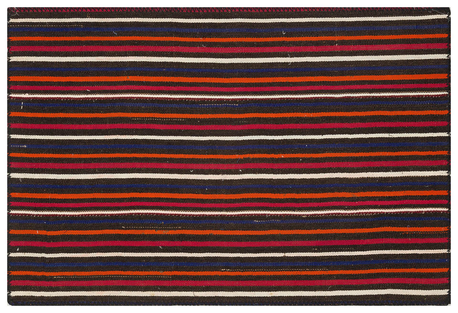 GENELEKSEL EL RENKLİ KİLİM PASPAS