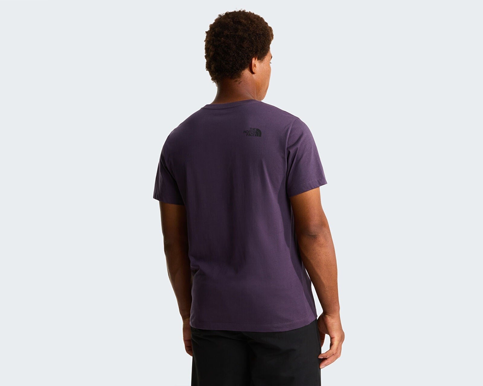 The North Face M Evolutıon Box Half Dome Regular  Erkek T-Shirt NF0A8G9CG5O1