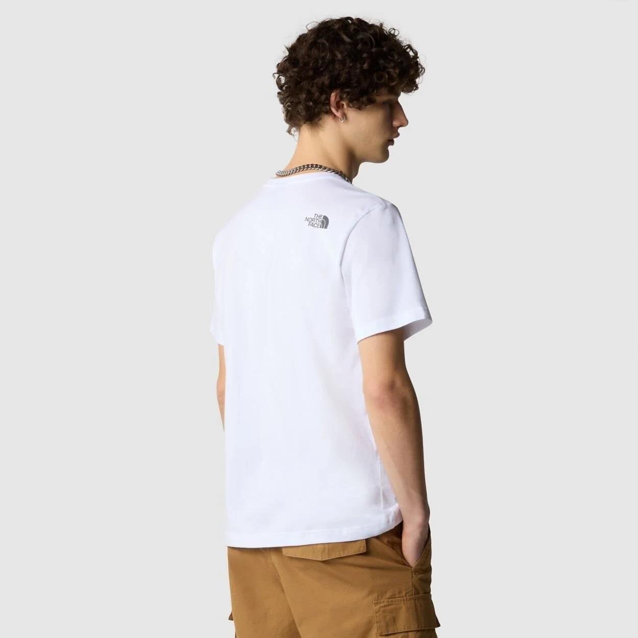 The North Face M S/S Mountaın Lıne  Erkek T-Shirt NF0A87NTFN41