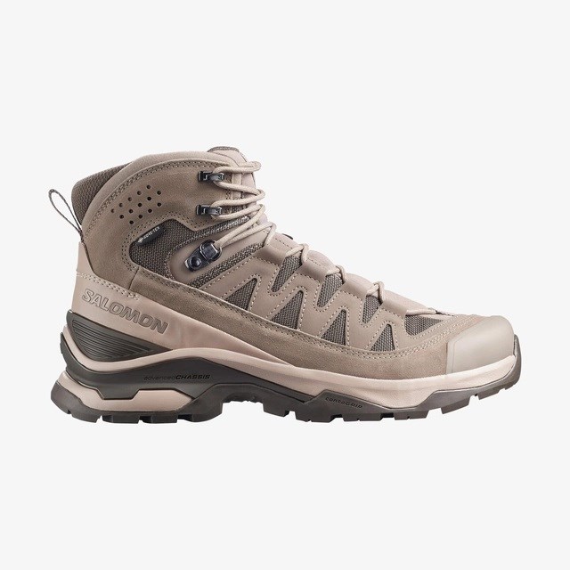 Salomon  Quest Echo Gtx M  Erkek  Bot   L49146400