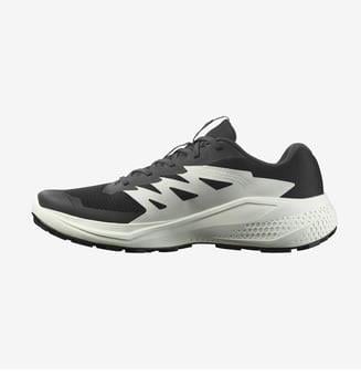 Salomon Alphaglide Erkek Koşu Ayakkabısı L47801000