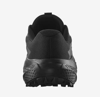 Salomon Alphaglıde Erkek Outdoor Ayakkabı L47948300