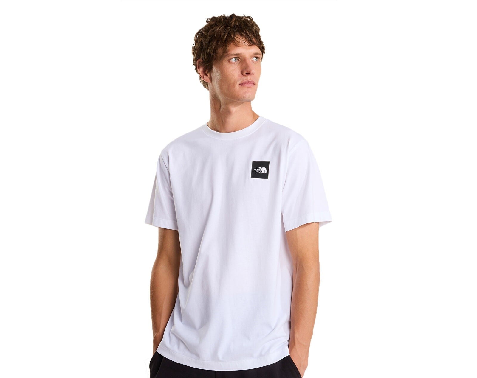 The North Face M Evolutıon Box Half Dome Regular  Erkek T-Shirt NF0A8G9CFN41