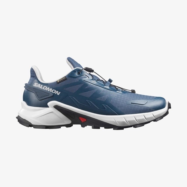 Salomon  Supercross 4 Gtx  Erkek  Günlük Koşu  Ayakkabısı L45447400