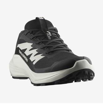 Salomon Alphaglide Erkek Koşu Ayakkabısı L47801000
