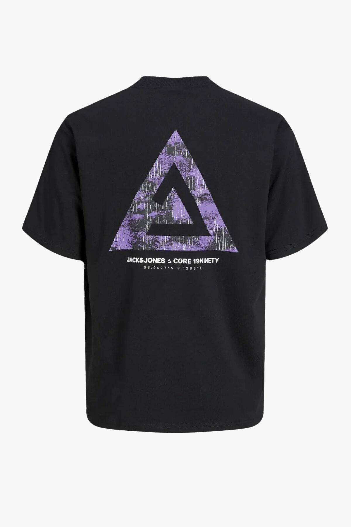Jack&Jones  Jcotrıangle Tee Ss Crew Neck Sn Erkek T-Shirt 12253435