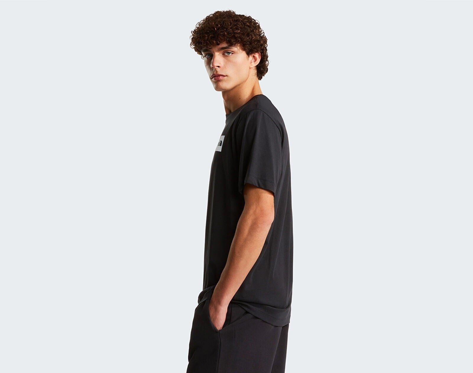 The North Face M Evolutıon Box Half Dome Regular  Erkek T-Shirt NF0A8G9CJK31