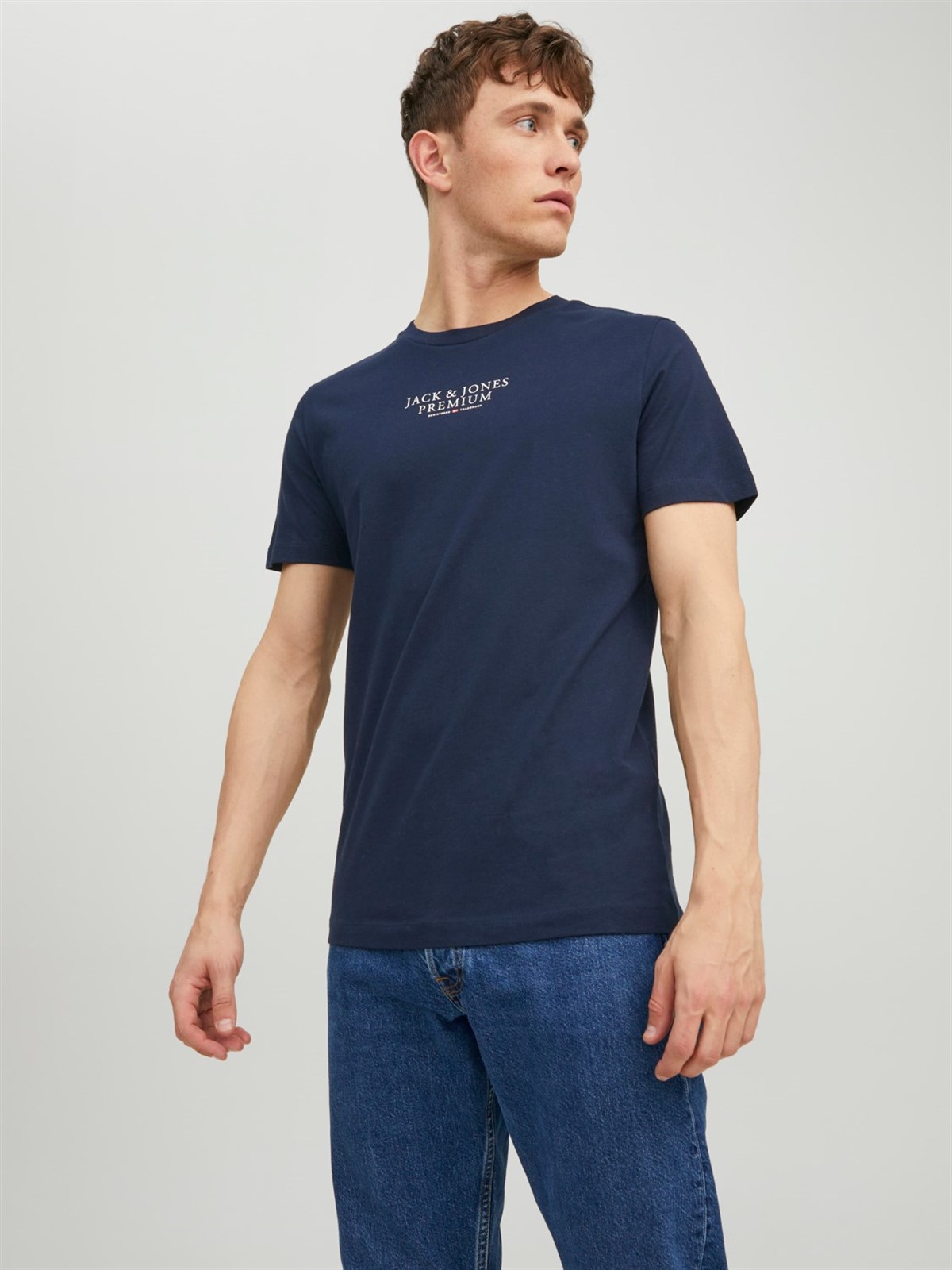 Jack&Jones Premıum Jprbluarchıe Ss Tee Crew Neck  Erkek T-Shirt
