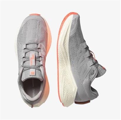 Salomon Aero Glıde 3 Erkek Outdoor Ayakkabı L47810600