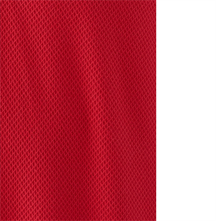 Mavi Polo T-Shirt Kırmızı Erkek T-Shirt