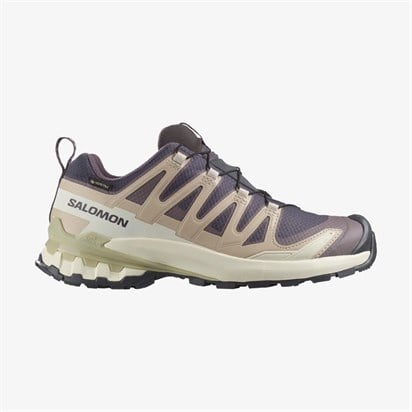 Salomon Xa Pro 3D V9 Gore-Tex Kadın Outdoor Ayakkabı L47744700