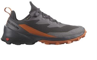 Salomon Cross Over 2 Gtx Erkek Outdoor Ayakkabı L47265000