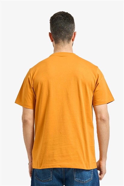 The North Face M Evolutıon Sımple Dome Regular  Erkek T-Shirt NF0A8CZ2G5I1