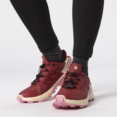 Salomon Supercross 4 Gtx W Kadın Outdoor Ayakkabı L47316800