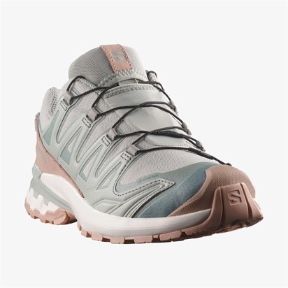 Salomon  Xa Pro 3D V9 Gtx Lıfelong W  Kadın  Outdoor  Ayakkabı L49297300