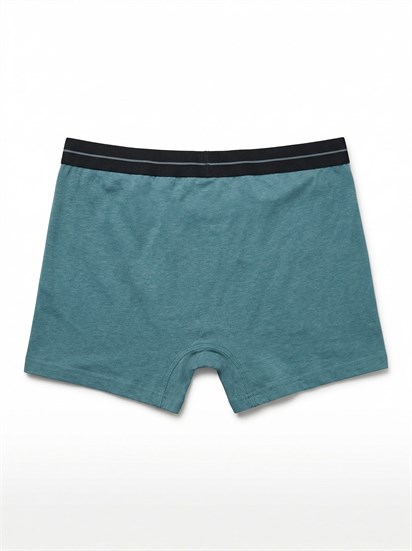 Loft Erkek Boxer LF2041459