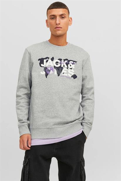 Jack&Jones Core Jcodust  Erkek Sweatshirt 12240211