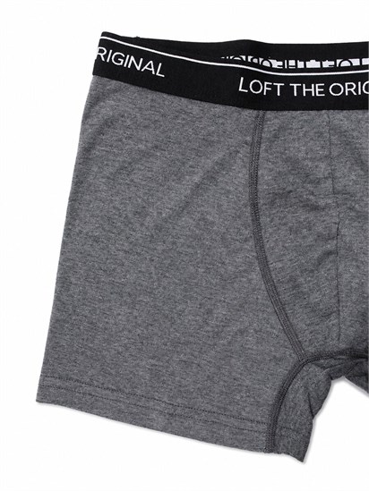 Loft Erkek Boxer LF2043288
