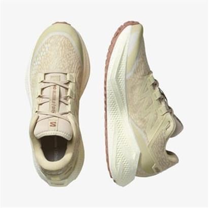 Salomon Aero Glıde 3 Grvl Erkek Outdoor Ayakkabı L47797300