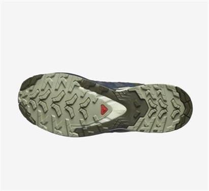 Salomon Xa Pro 3D V9 Erkek Outdoor Ayakkabı L47467500