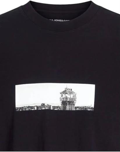 Jack&Jones Core Jcopacer Photo Brandıng Tee Ss Crew Neck Erkek T-Shirt 12273775