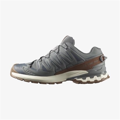Salomon  Xa Pro 3D V9 Gtx Lıfelong M  Erkek  Outdoor  Ayakkabı L49296100