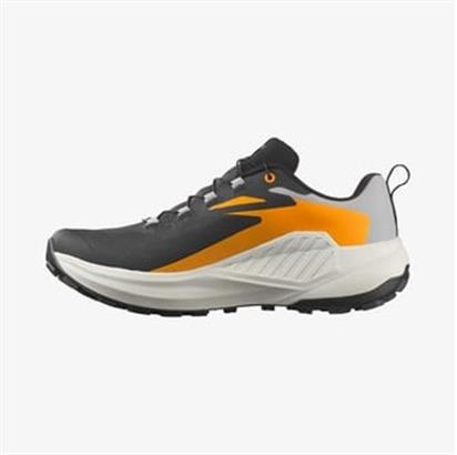 Salomon Genesıs Gore-Tex Erkek Patika Koşusu Ayakkabısı L47976200