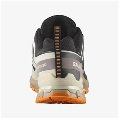 Salomon Xa Pro 3D V9 Gore-Tex Erkek Outdoor Ayakkabı L47881900