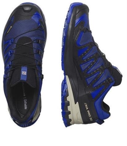 Salomon Xa Pro 3D V9 Gtx Erkek Outdoor Ayakkabı L47270300