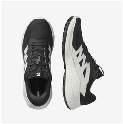 Salomon Alphaglide Erkek Koşu Ayakkabısı L47801000