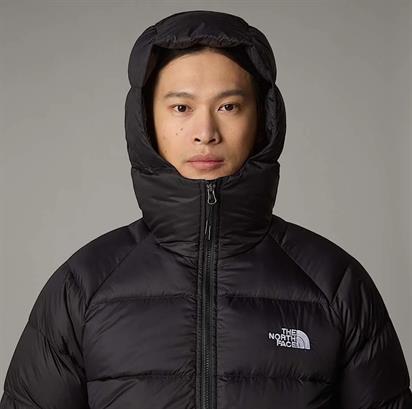 The North Face M Hydrenalıte Down Hoodıe Erkek Mont NF0A5GIEJK31