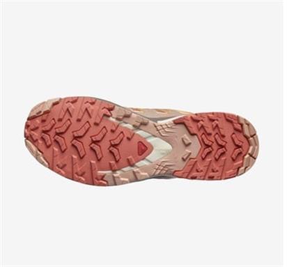 Salomon Xa Pro 3D V9 W Kadın Outdoor Ayakkabı L47468200