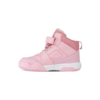 Vicco Mars Patik Phylon Bot