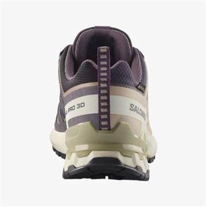 Salomon Xa Pro 3D V9 Gore-Tex Kadın Outdoor Ayakkabı L47744700