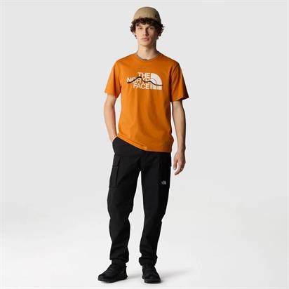 The North Face M S/S Mountaın Lıne  Erkek T-Shirt NF0A87NTPCO1