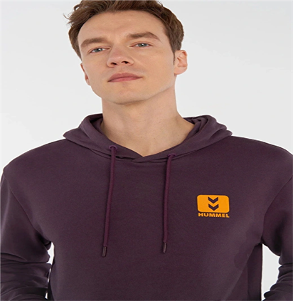 Hummel Flor Hoodıe Erkek Sweatshirt