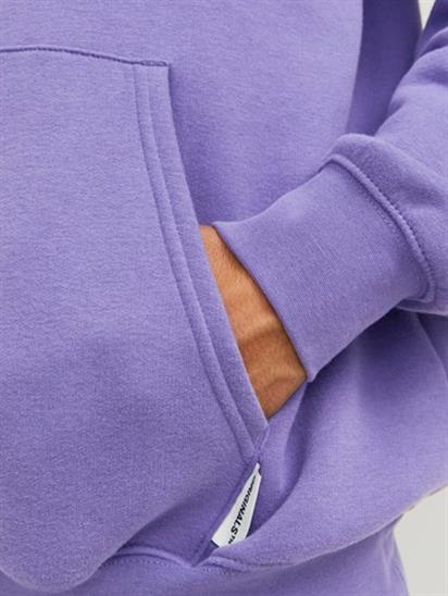 Jack&Jones Orıgınals Jorsılverlake  Hood Erkek Sweatshirt 12242357