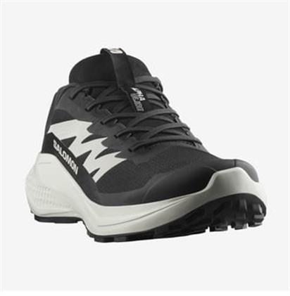 Salomon Alphaglide Erkek Koşu Ayakkabısı L47801000