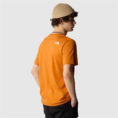 The North Face M S/S Mountaın Lıne  Erkek T-Shirt NF0A87NTPCO1