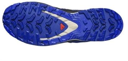 Salomon Xa Pro 3D V9 Gtx Erkek Outdoor Ayakkabı L47270300