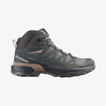 Salomon  X Ultra 360 Mıd Gtx W  Kadın  Bot   L47865000