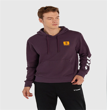 Hummel Flor Hoodıe Erkek Sweatshirt