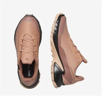 Salomon Alphacross 5 Gtx W Kadın Outdoor Ayakkabı L47595100